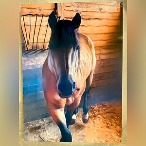 Wall Art - Photography on Metal